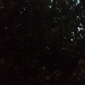 Meet your Posher, Raymond